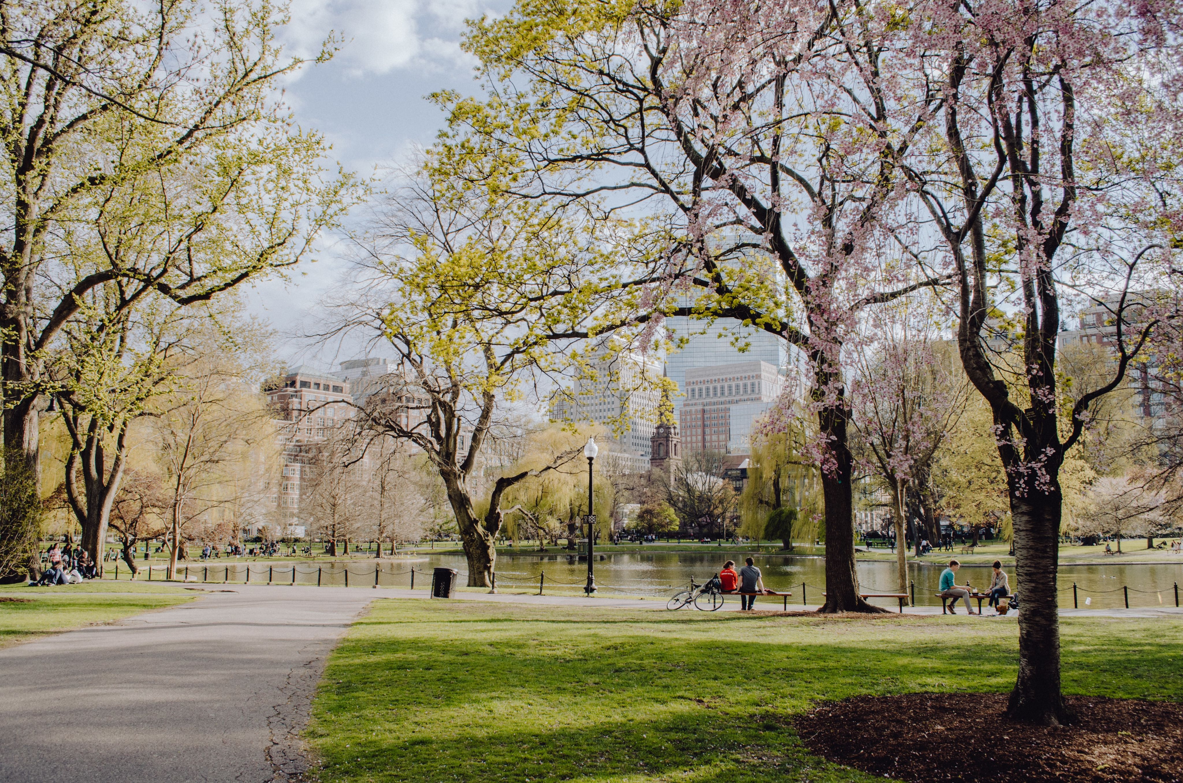 people walking on park during daytime