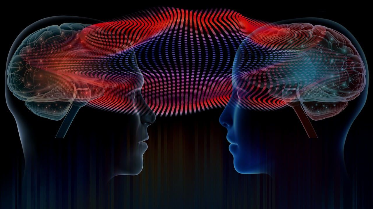 Oracle of Consciousness