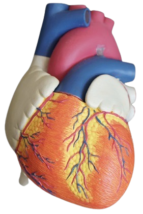 orange heart decor